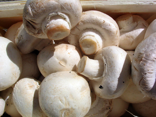 Μανιτάρια Champignon 250γρ (τμχ)