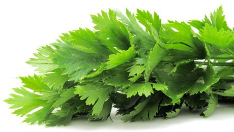 Σέλινο (τιμή/ματσάκι)